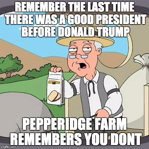 remember when there was a good president | REMEMBER THE LAST TIME THERE WAS A GOOD PRESIDENT BEFORE DONALD TRUMP; PEPPERIDGE FARM REMEMBERS YOU DONT | image tagged in memes,pepperidge farm remembers,donald trump,2017 inauguration day | made w/ Imgflip meme maker