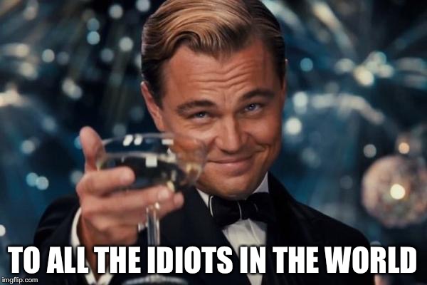 Leonardo Dicaprio Cheers | TO ALL THE IDIOTS IN THE WORLD | image tagged in memes,leonardo dicaprio cheers | made w/ Imgflip meme maker