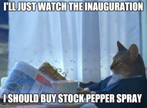 This is hilarious ! 
It's lit in DC | I'LL JUST WATCH THE INAUGURATION; I SHOULD BUY STOCK PEPPER SPRAY | image tagged in memes,i should buy a boat cat | made w/ Imgflip meme maker