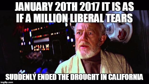 obi wan million voices | JANUARY 20TH 2017 IT IS AS IF A MILLION LIBERAL TEARS; SUDDENLY ENDED THE DROUGHT IN CALIFORNIA | image tagged in obi wan million voices | made w/ Imgflip meme maker