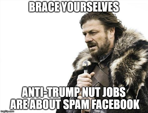 Brace Yourselves X is Coming | BRACE YOURSELVES; ANTI-TRUMP NUT JOBS ARE ABOUT SPAM FACEBOOK | image tagged in memes,brace yourselves x is coming | made w/ Imgflip meme maker