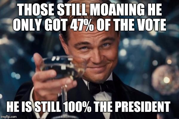 Leonardo Dicaprio Cheers Meme | THOSE STILL MOANING HE ONLY GOT 47% OF THE VOTE HE IS STILL 100% THE PRESIDENT | image tagged in memes,leonardo dicaprio cheers | made w/ Imgflip meme maker