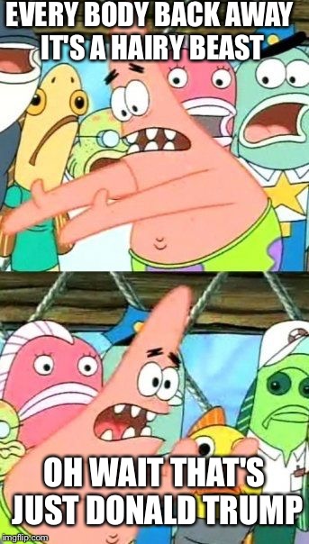 Put It Somewhere Else Patrick Meme | EVERY BODY BACK AWAY IT'S A HAIRY BEAST; OH WAIT THAT'S JUST DONALD TRUMP | image tagged in memes,put it somewhere else patrick | made w/ Imgflip meme maker