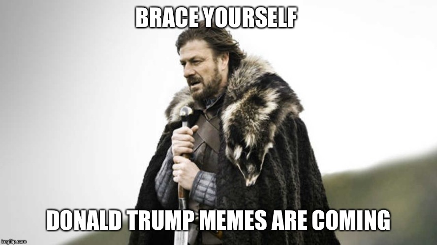 Brace yourself  | BRACE YOURSELF; DONALD TRUMP MEMES ARE COMING | image tagged in brace yourself,donald trump,nevertrump,donald trump approves,memes,funny | made w/ Imgflip meme maker