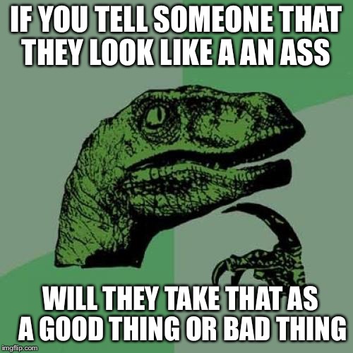 Philosoraptor Meme | IF YOU TELL SOMEONE THAT THEY LOOK LIKE A AN ASS; WILL THEY TAKE THAT AS A GOOD THING OR BAD THING | image tagged in memes,philosoraptor | made w/ Imgflip meme maker