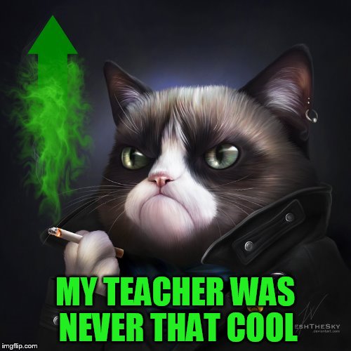 MY TEACHER WAS NEVER THAT COOL | made w/ Imgflip meme maker