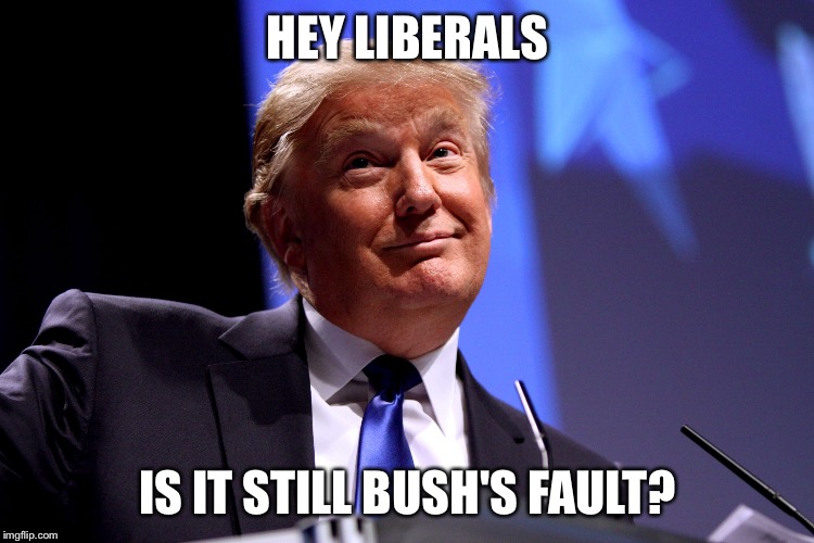 Donald Trump No2 | HEY LIBERALS; IS IT STILL BUSH'S FAULT? | image tagged in donald trump no2,trump,george bush,obama,liberals | made w/ Imgflip meme maker