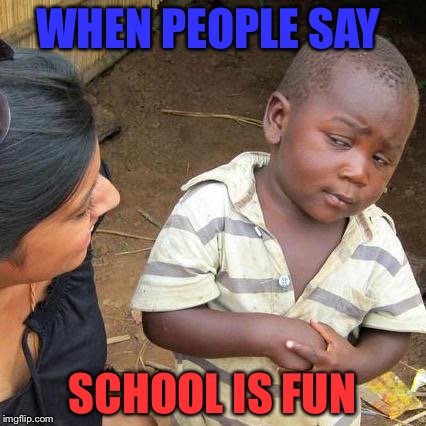 Third World Skeptical Kid Meme | WHEN PEOPLE SAY; SCHOOL IS FUN | image tagged in memes,third world skeptical kid | made w/ Imgflip meme maker