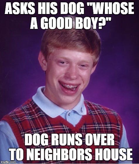 Bad Luck Brian Meme | ASKS HIS DOG "WHOSE A GOOD BOY?" DOG RUNS OVER TO NEIGHBORS HOUSE | image tagged in memes,bad luck brian | made w/ Imgflip meme maker