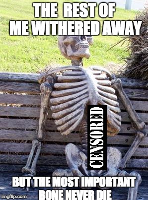 Waiting Skeleton | THE  REST OF ME WITHERED AWAY; BUT THE MOST IMPORTANT BONE NEVER DIE | image tagged in memes,waiting skeleton | made w/ Imgflip meme maker