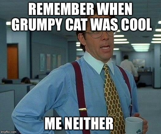 That Would Be Great Meme | REMEMBER WHEN GRUMPY CAT WAS COOL ME NEITHER | image tagged in memes,that would be great | made w/ Imgflip meme maker