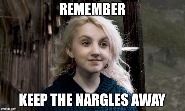 Harry Potter | REMEMBER; KEEP THE NARGLES AWAY | image tagged in harry potter | made w/ Imgflip meme maker