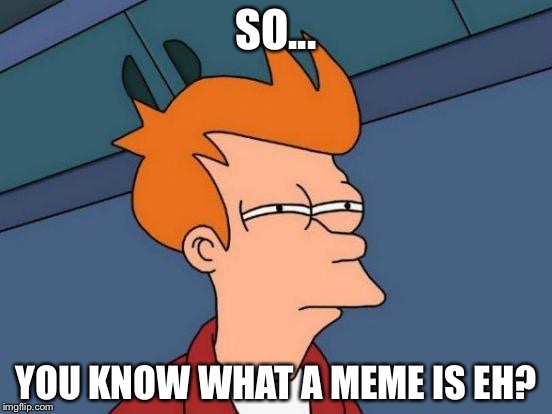 Savage | SO... YOU KNOW WHAT A MEME IS EH? | image tagged in memes,funny | made w/ Imgflip meme maker