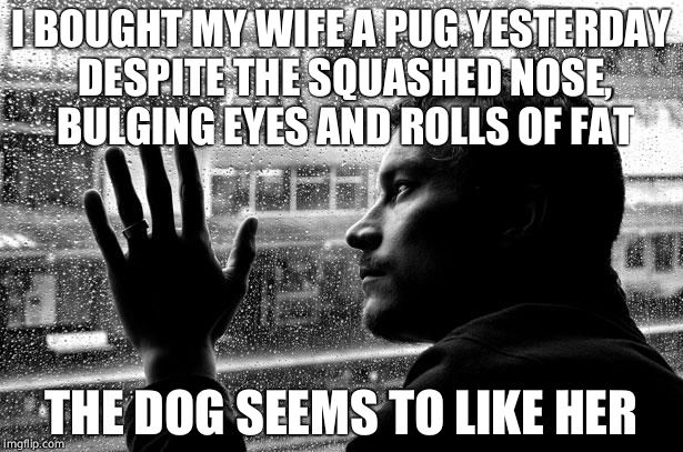 Over Educated Problems | I BOUGHT MY WIFE A PUG YESTERDAY DESPITE THE SQUASHED NOSE, BULGING EYES AND ROLLS OF FAT; THE DOG SEEMS TO LIKE HER | image tagged in memes,over educated problems | made w/ Imgflip meme maker