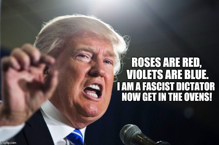 donald trump | ROSES ARE RED, VIOLETS ARE BLUE. I AM A FASCIST DICTATOR NOW GET IN THE OVENS! | image tagged in donald trump | made w/ Imgflip meme maker