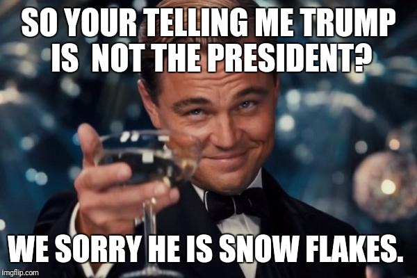 Leonardo Dicaprio Cheers Meme | SO YOUR TELLING ME TRUMP IS  NOT THE PRESIDENT? WE SORRY HE IS SNOW FLAKES. | image tagged in memes,leonardo dicaprio cheers | made w/ Imgflip meme maker
