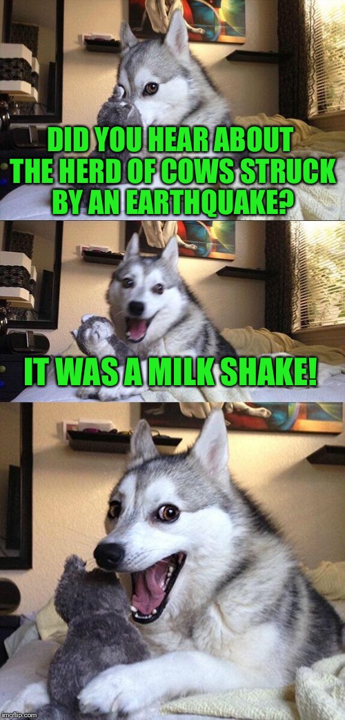 Bad Pun Dog Meme | DID YOU HEAR ABOUT THE HERD OF COWS STRUCK BY AN EARTHQUAKE? IT WAS A MILK SHAKE! | image tagged in memes,bad pun dog | made w/ Imgflip meme maker