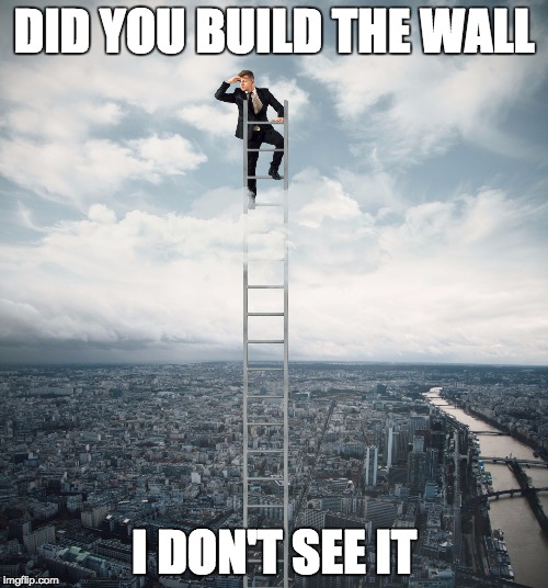 searching |  DID YOU BUILD THE WALL; I DON'T SEE IT | image tagged in searching | made w/ Imgflip meme maker