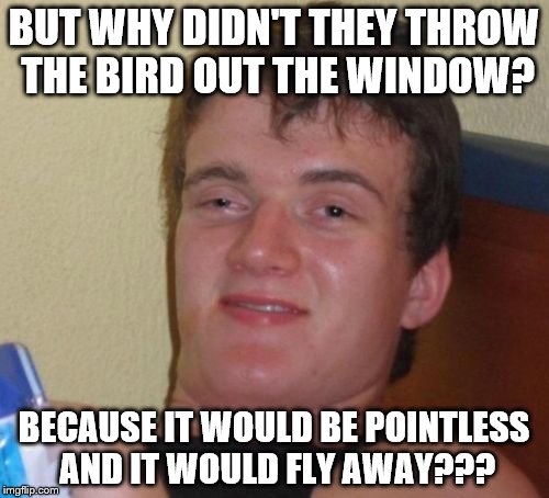 10 Guy Meme | BUT WHY DIDN'T THEY THROW THE BIRD OUT THE WINDOW? BECAUSE IT WOULD BE POINTLESS AND IT WOULD FLY AWAY??? | image tagged in memes,10 guy | made w/ Imgflip meme maker