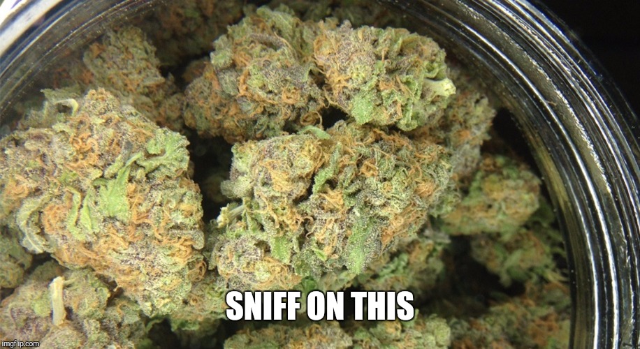 SNIFF ON THIS | made w/ Imgflip meme maker