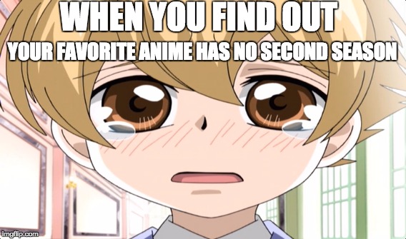 Anime Cry | WHEN YOU FIND OUT; YOUR FAVORITE ANIME HAS NO SECOND SEASON | image tagged in anime,honey senpai,crying | made w/ Imgflip meme maker