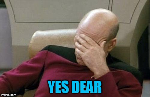 Captain Picard Facepalm Meme | YES DEAR | image tagged in memes,captain picard facepalm | made w/ Imgflip meme maker