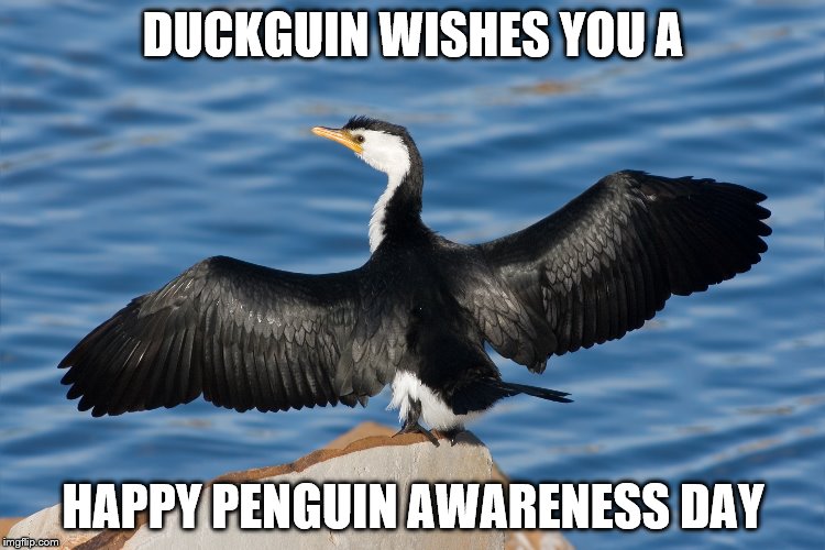 Duckguin | DUCKGUIN WISHES YOU A; HAPPY PENGUIN AWARENESS DAY | image tagged in duckguin | made w/ Imgflip meme maker