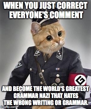 Grammar Nazi Cat | WHEN YOU JUST CORRECT EVERYONE'S COMMENT; AND BECOME THE WORLD'S GREATEST GRAMMAR NAZI THAT HATES THE WRONG WRITING OR GRAMMAR. | image tagged in grammar nazi cat | made w/ Imgflip meme maker