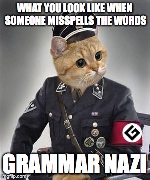Grammar Nazi Cat | WHAT YOU LOOK LIKE WHEN SOMEONE MISSPELLS THE WORDS; GRAMMAR NAZI | image tagged in grammar nazi cat | made w/ Imgflip meme maker
