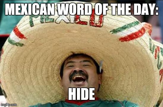 mexican word of the day | MEXICAN WORD OF THE DAY:; HIDE | image tagged in mexican word of the day | made w/ Imgflip meme maker