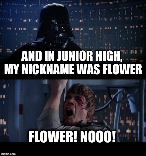 #1 BLR fan | AND IN JUNIOR HIGH, MY NICKNAME WAS FLOWER; FLOWER! NOOO! | image tagged in memes,star wars no,bad lip reading | made w/ Imgflip meme maker