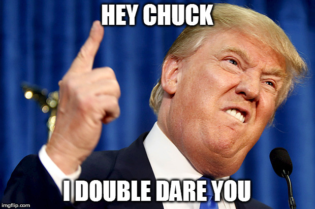 Donald Trump | HEY CHUCK; I DOUBLE DARE YOU | image tagged in donald trump | made w/ Imgflip meme maker