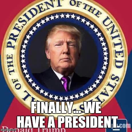 President Trump seal | FINALLY... WE HAVE A PRESIDENT | image tagged in president trump seal | made w/ Imgflip meme maker