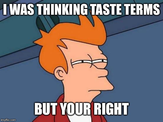 I WAS THINKING TASTE TERMS BUT YOUR RIGHT | image tagged in memes,futurama fry | made w/ Imgflip meme maker