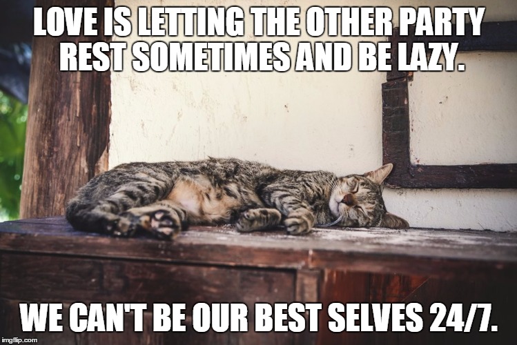 Love is | LOVE IS LETTING THE OTHER PARTY REST SOMETIMES AND BE LAZY. WE CAN'T BE OUR BEST SELVES 24/7. | image tagged in lazy cat | made w/ Imgflip meme maker