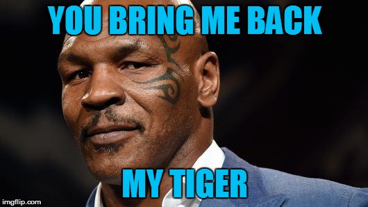 YOU BRING ME BACK MY TIGER | made w/ Imgflip meme maker