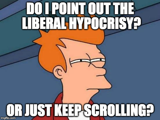 The are right wing nuts but WAAAAY more left wing jerks. | DO I POINT OUT THE LIBERAL HYPOCRISY? OR JUST KEEP SCROLLING? | image tagged in memes,futurama fry,liberal,bacon,left wing,right wing | made w/ Imgflip meme maker