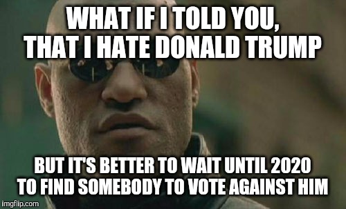 seriously, rioting about him being our 45th president isn't gonna do shit, so i think it's best to get over it and wait til 2020 | WHAT IF I TOLD YOU, THAT I HATE DONALD TRUMP; BUT IT'S BETTER TO WAIT UNTIL 2020 TO FIND SOMEBODY TO VOTE AGAINST HIM | image tagged in memes,matrix morpheus,donald trump,2020 elections,riots | made w/ Imgflip meme maker