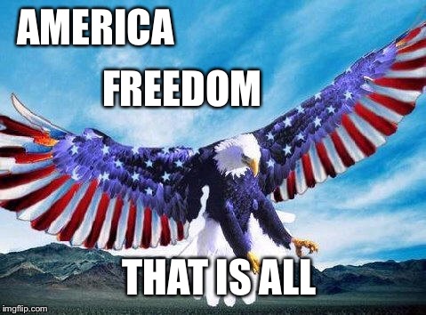 Nuff Said | FREEDOM; AMERICA; THAT IS ALL | image tagged in freedom eagle,funny,memes,freedom,america | made w/ Imgflip meme maker