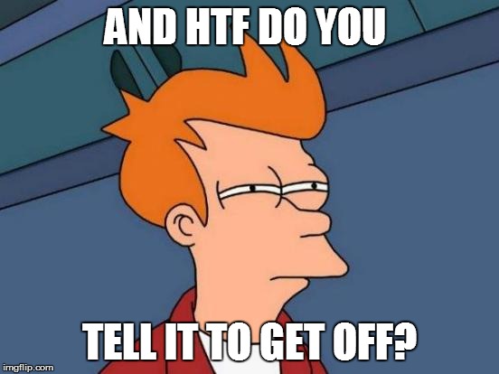 Futurama Fry Meme | AND HTF DO YOU TELL IT TO GET OFF? | image tagged in memes,futurama fry | made w/ Imgflip meme maker