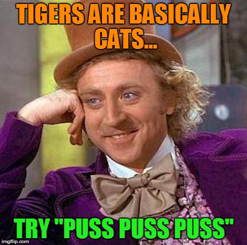 Creepy Condescending Wonka Meme | TIGERS ARE BASICALLY CATS... TRY "PUSS PUSS PUSS" | image tagged in memes,creepy condescending wonka | made w/ Imgflip meme maker