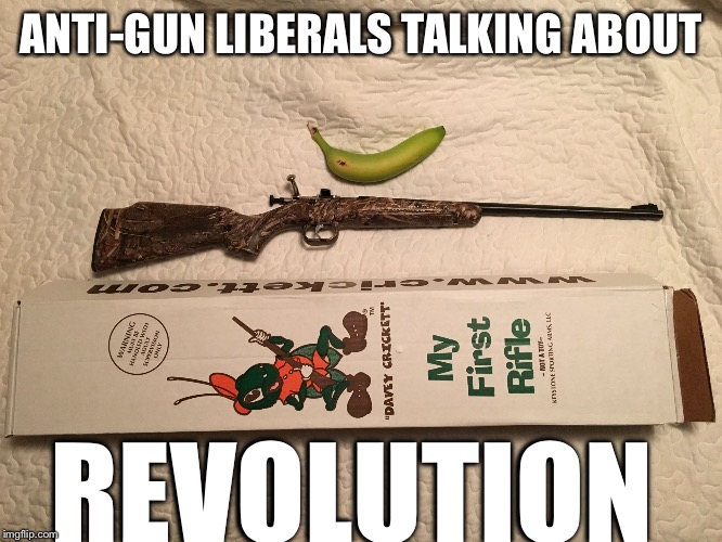 Banana for scale | ANTI-GUN LIBERALS TALKING ABOUT; REVOLUTION | image tagged in anti gun revolution,trump,funny,memes,liberal logic | made w/ Imgflip meme maker