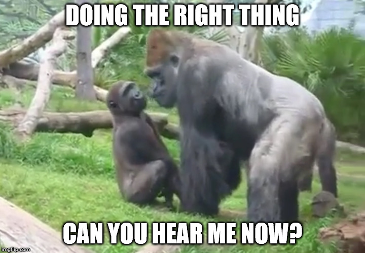 Can You Hear Me Now | DOING THE RIGHT THING; CAN YOU HEAR ME NOW? | image tagged in doing the right things,why am i doing this,what am i doing with my life | made w/ Imgflip meme maker