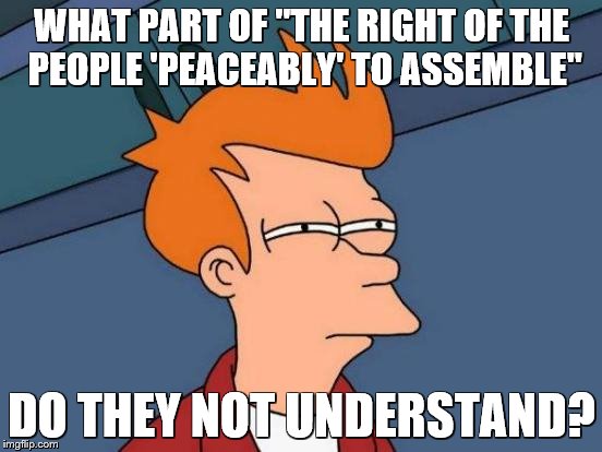Futurama Fry Meme | WHAT PART OF "THE RIGHT OF THE PEOPLE 'PEACEABLY' TO ASSEMBLE"; DO THEY NOT UNDERSTAND? | image tagged in memes,futurama fry | made w/ Imgflip meme maker