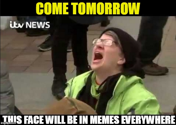 The Internets Newest Meme Sensation | COME TOMORROW; THIS FACE WILL BE IN MEMES EVERYWHERE | image tagged in liberals,memes,template,president trump | made w/ Imgflip meme maker