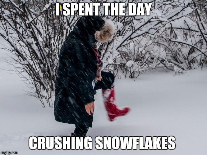 I SPENT THE DAY CRUSHING SNOWFLAKES | made w/ Imgflip meme maker