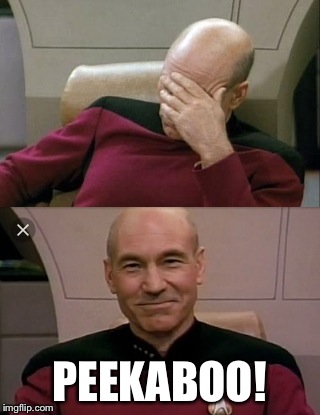 Picard Peekaboo | PEEKABOO! | image tagged in captain picard facepalm,memes | made w/ Imgflip meme maker
