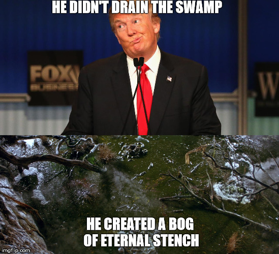 My bad! | HE DIDN'T DRAIN THE SWAMP; HE CREATED A BOG OF ETERNAL STENCH | image tagged in drain the swamp trump | made w/ Imgflip meme maker