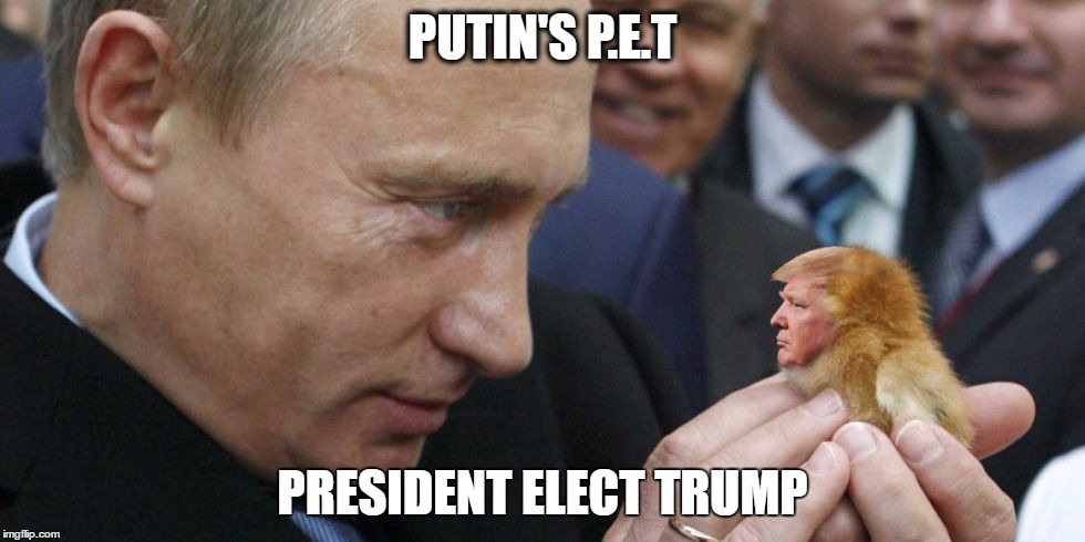 I wish I had posted this before inauguration day. | PUTIN'S P.E.T; PRESIDENT ELECT TRUMP | image tagged in election 2016 | made w/ Imgflip meme maker