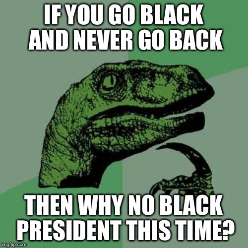 Philosoraptor Meme | IF YOU GO BLACK AND NEVER GO BACK; THEN WHY NO BLACK PRESIDENT THIS TIME? | image tagged in memes,philosoraptor | made w/ Imgflip meme maker